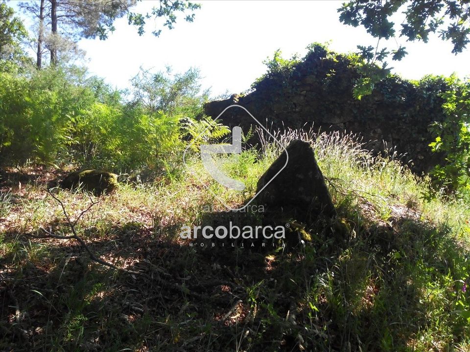 Byhus i Paredes de Coura, Viana do Castelo - foto 4