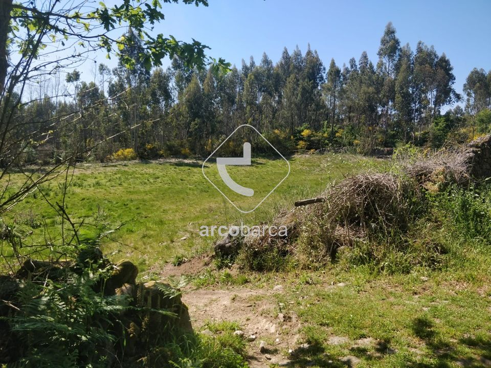 Tomt i Paredes de Coura, Viana do Castelo - bilde 4