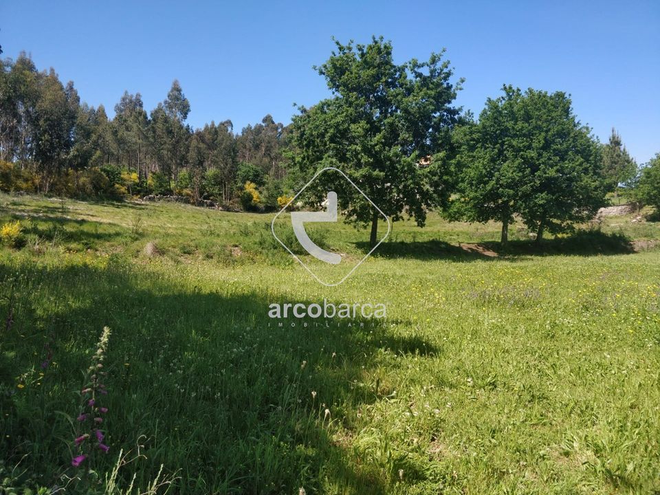 Tomt i Paredes de Coura, Viana do Castelo - bilde 3