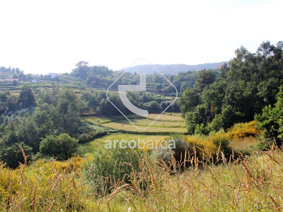 Terra a Ponte de Lima, Viana do Castelo - foto 1