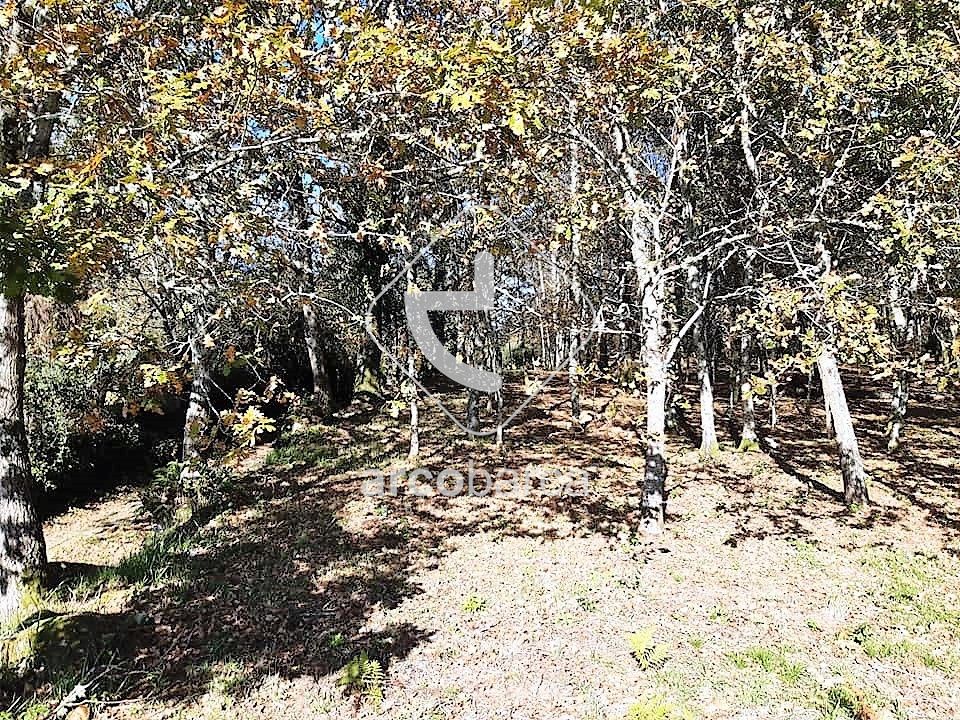 Helårsgrund i Paredes de Coura, Viana do Castelo - foto 2