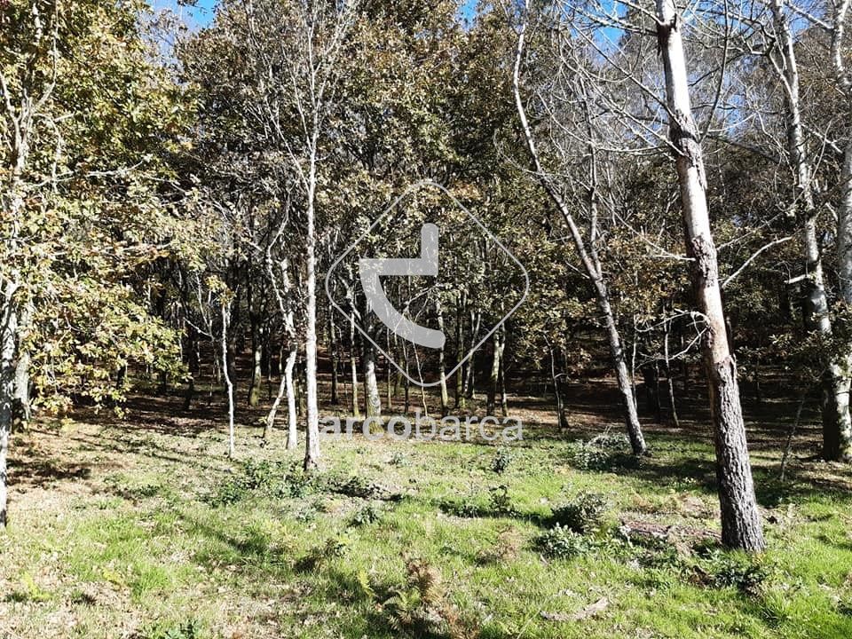 Helårsgrund i Paredes de Coura, Viana do Castelo - foto 4