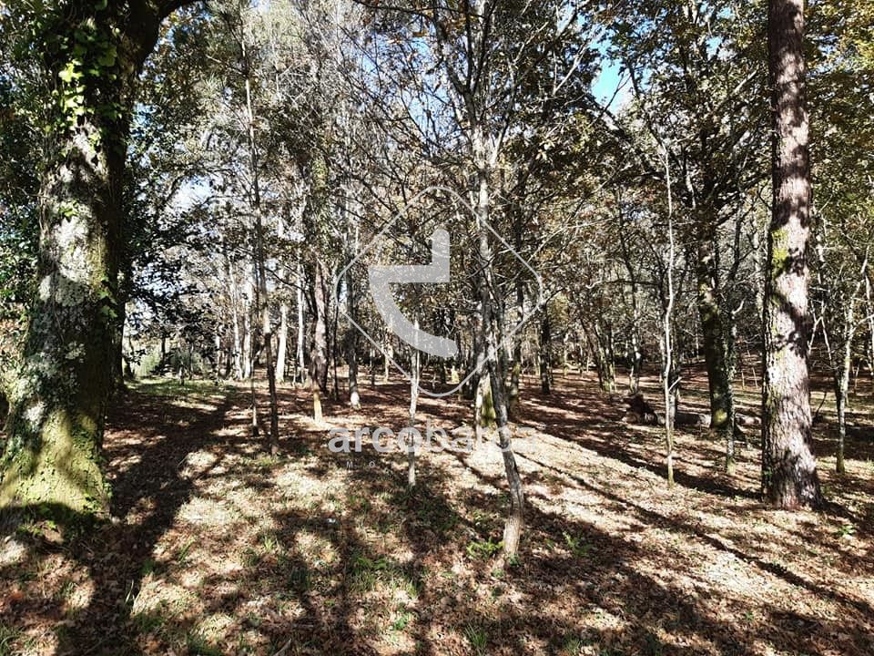 Helårsgrund i Paredes de Coura, Viana do Castelo - foto 5