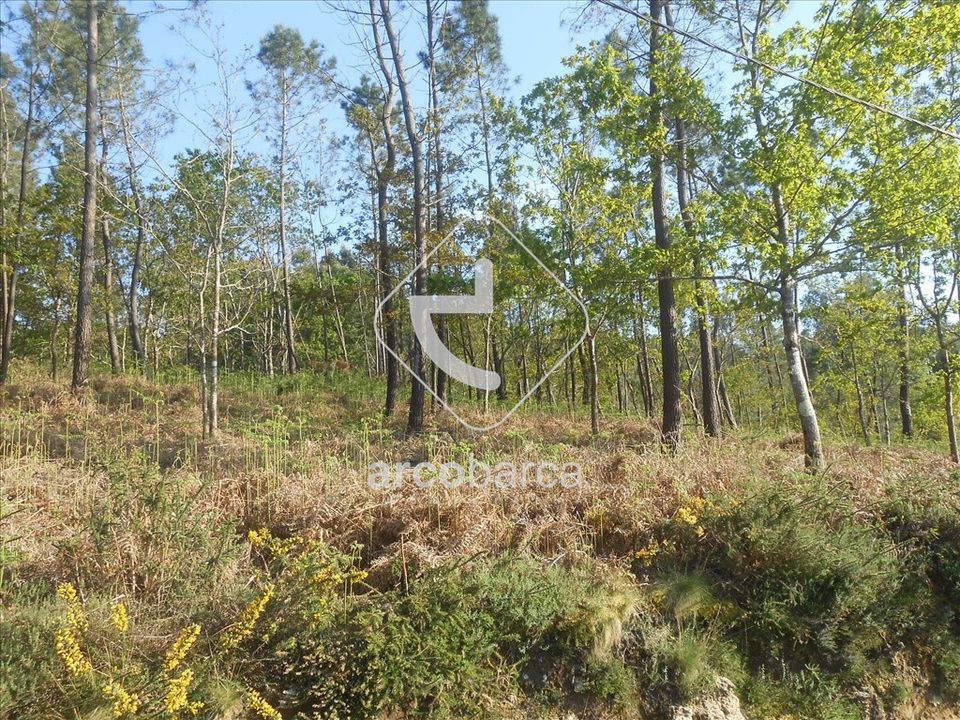 Helårsgrund i Paredes de Coura, Viana do Castelo - foto 1