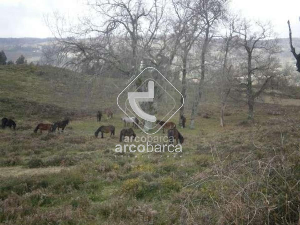 Tomt i Arcos de Valdevez, Viana do Castelo - bilde 3