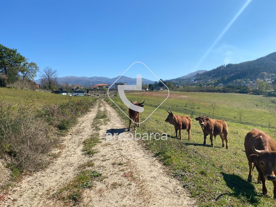 Helårsgrund i Arcos de Valdevez, Viana do Castelo - foto 2