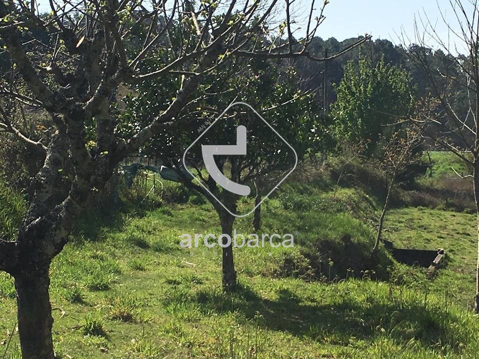 Helårsgrund i Vila Nova de Cerveira, Viana do Castelo - foto 3