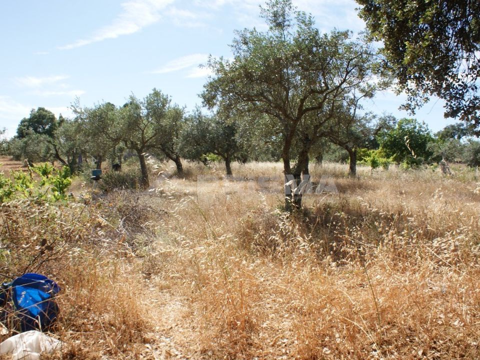 Terra a Penamacor, Castelo Branco - foto 1