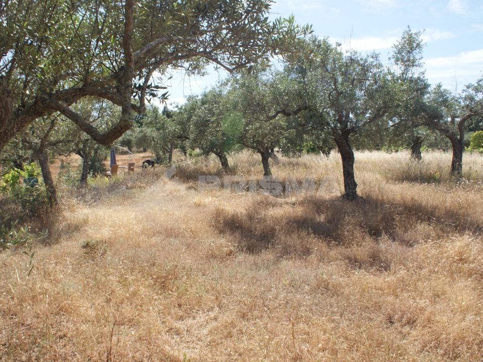Terra a Penamacor, Castelo Branco - foto 2