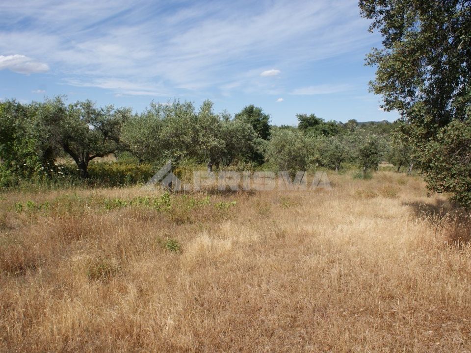 Terra a Penamacor, Castelo Branco - foto 3