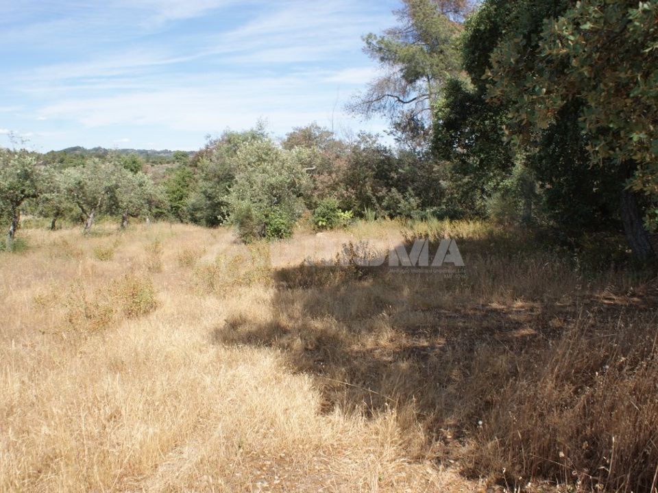 Terra a Penamacor, Castelo Branco - foto 4