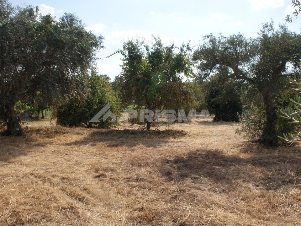 Farm i Penamacor, Castelo Branco - foto 4