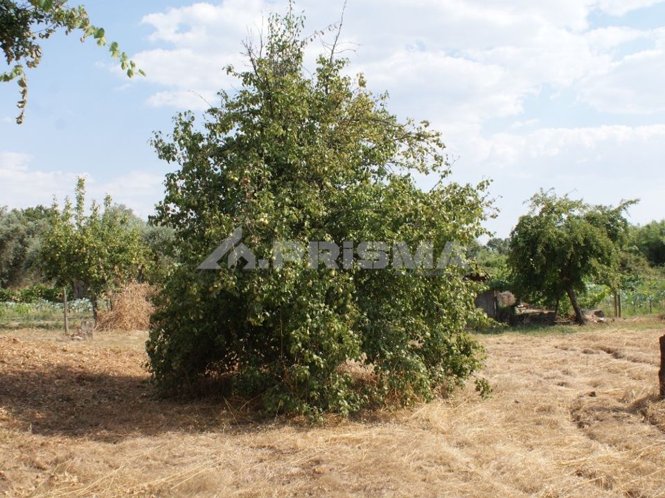 Farm i Penamacor, Castelo Branco - foto 1