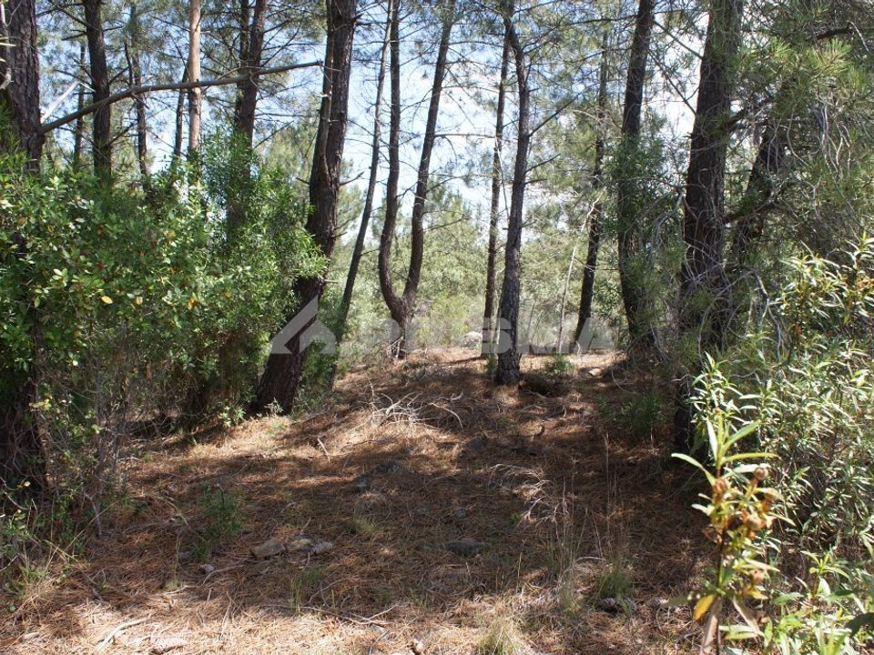 Helårsgrund i Castelo Branco, Castelo Branco - foto 5
