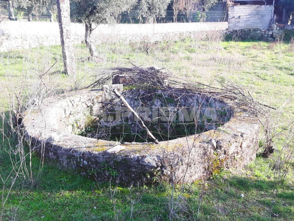 Helårsgrund i Castelo Branco, Castelo Branco - foto 5