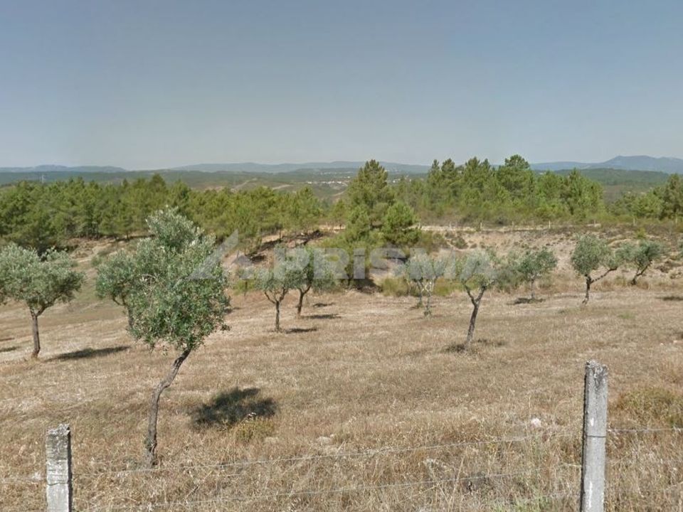 Helårsgrund i Castelo Branco, Castelo Branco - foto 4