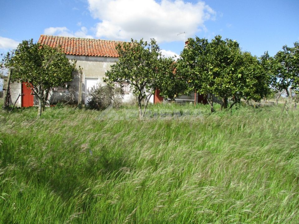 Helårsgrund i Castelo Branco, Castelo Branco - foto 4