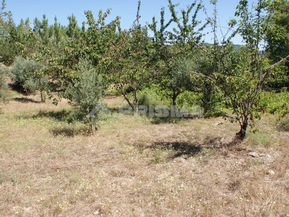 Helårsgrund i Proenca-a-Nova, Castelo Branco - foto 1