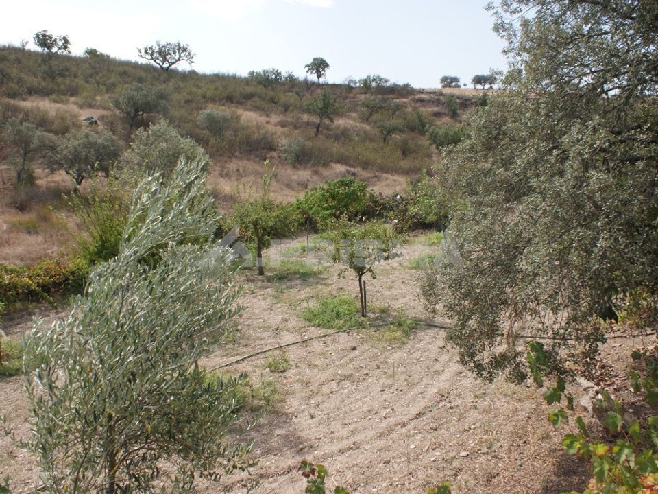 Helårsgrund i Nisa, Portalegre - foto 3