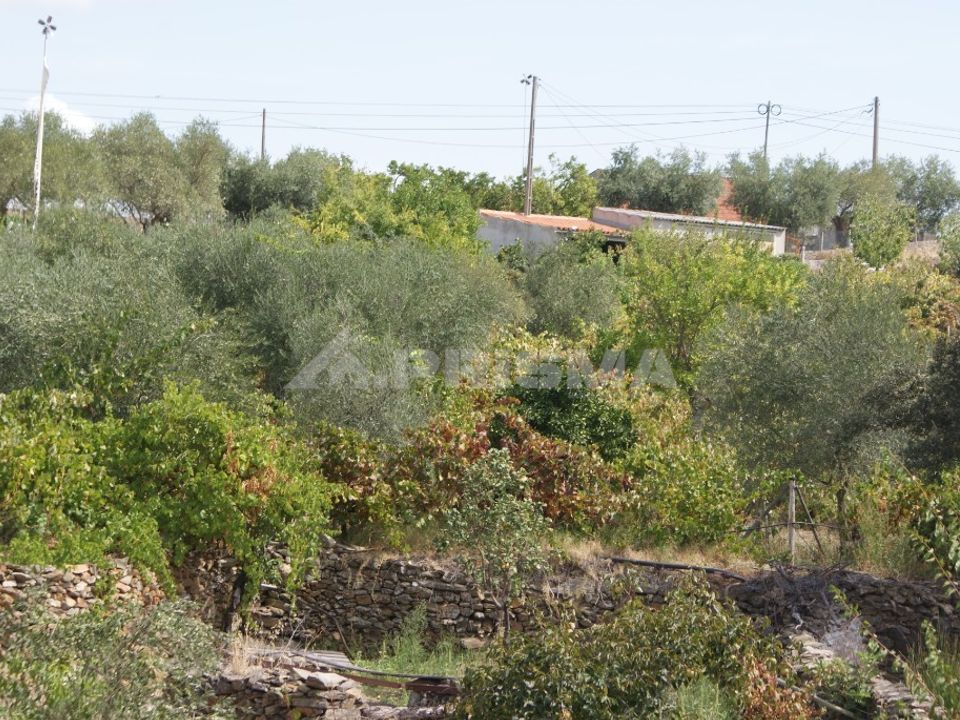 Helårsgrund i Nisa, Portalegre - foto 1