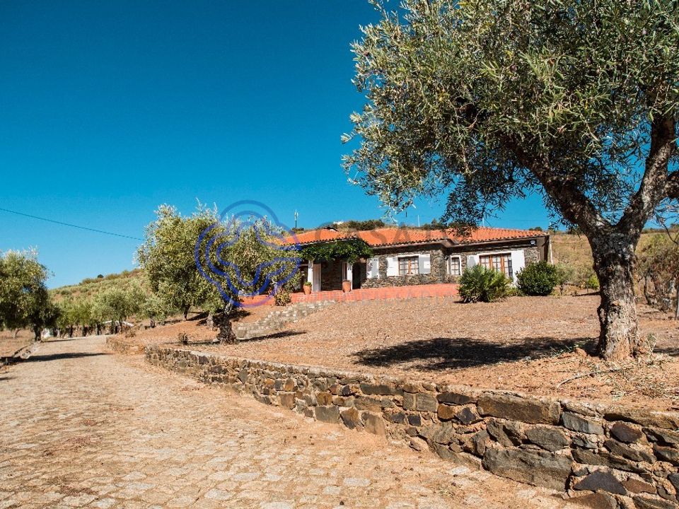Gård i Mogadouro, Braganca - bilde 2