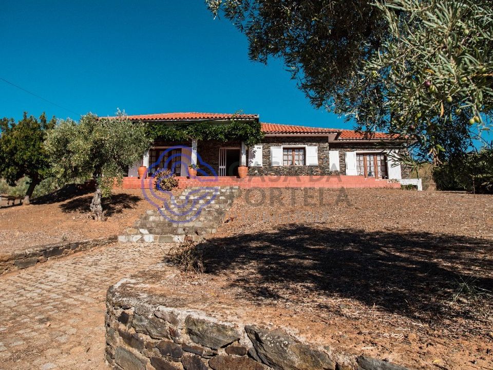 Gård i Mogadouro, Braganca - bilde 4