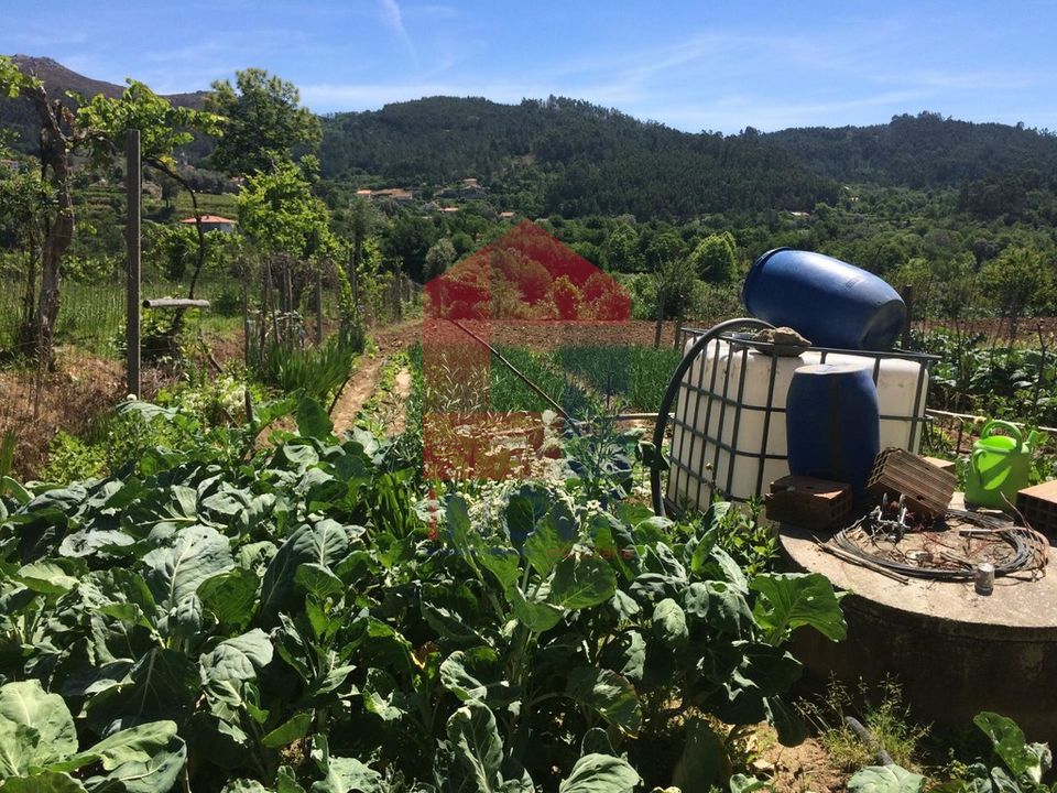Helårsgrund i Vila Verde, Braga - foto 4