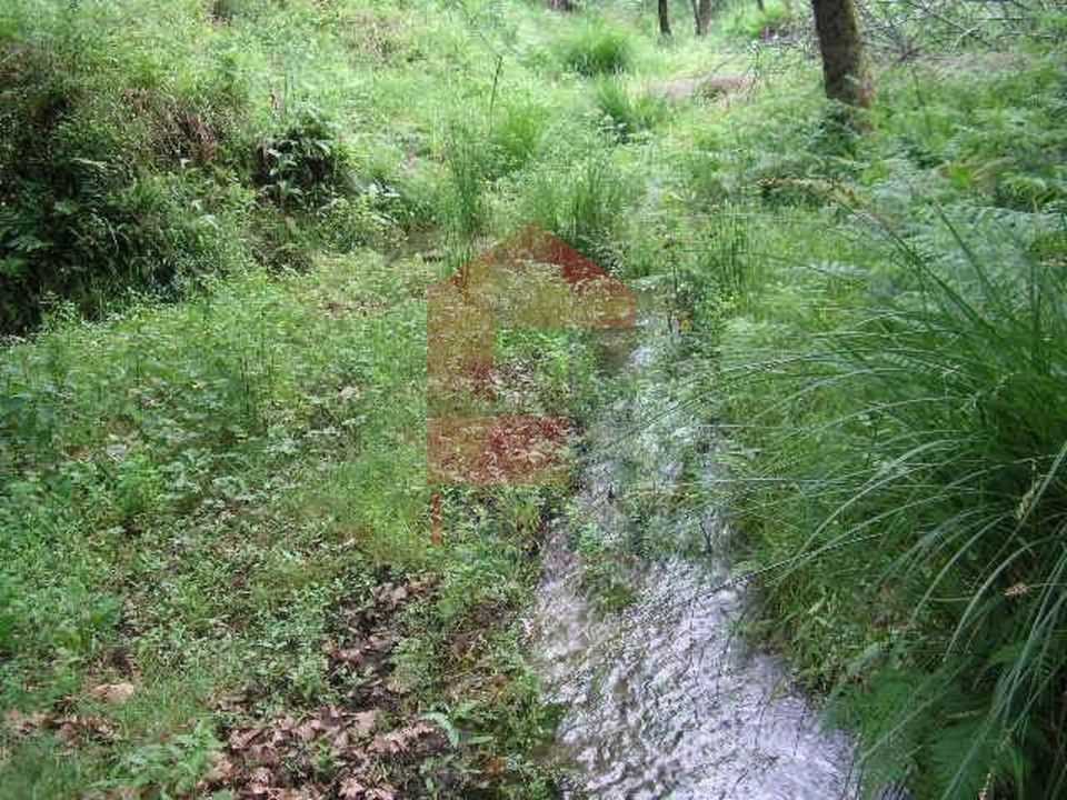 Helårsgrund i Vila Verde, Braga - foto 3