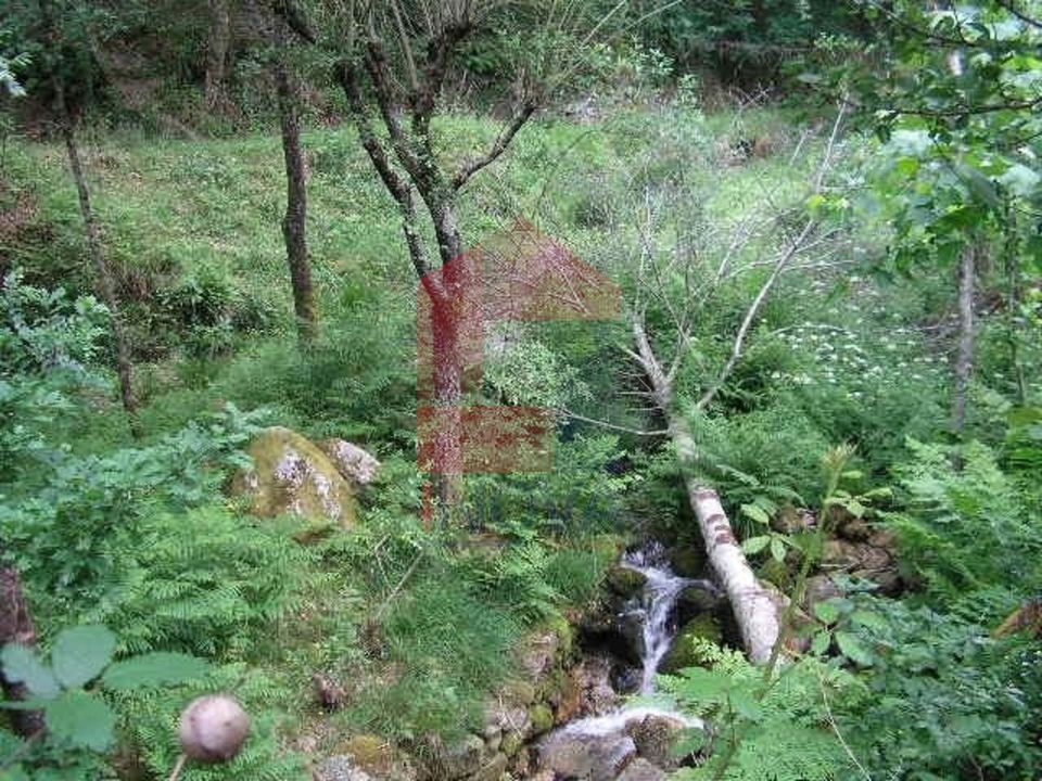 Helårsgrund i Vila Verde, Braga - foto 4