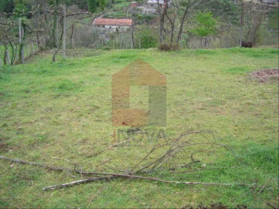 Helårsgrund i Vila Verde, Braga - foto 3