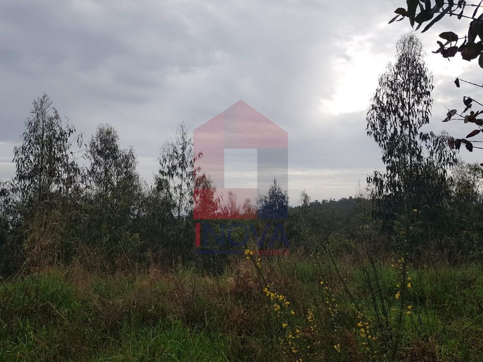 Helårsgrund i Vila Verde, Braga - foto 3