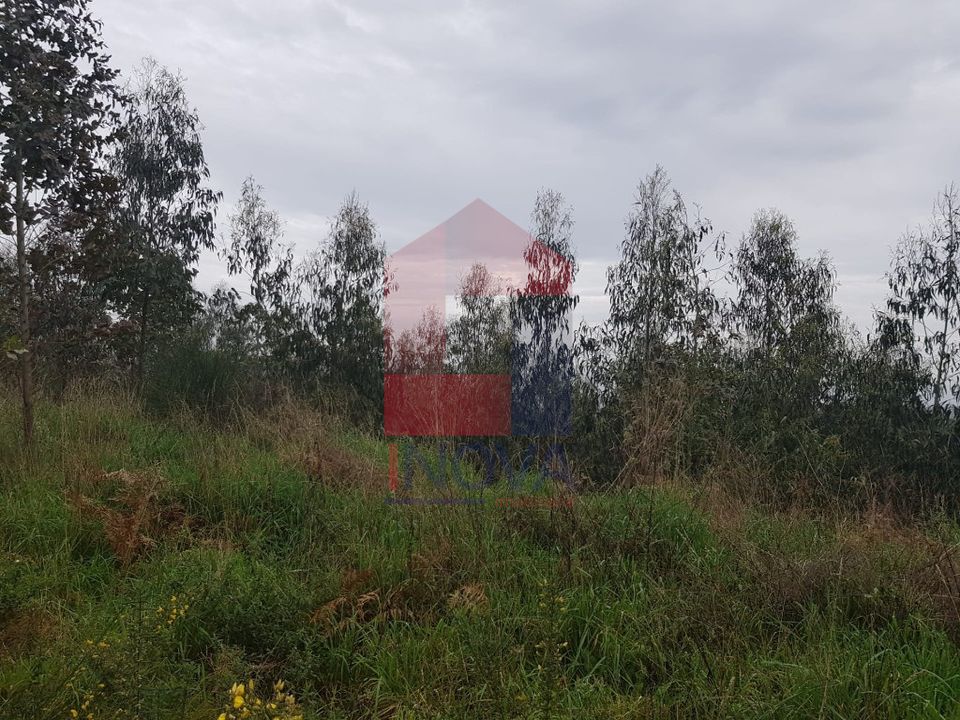 Helårsgrund i Vila Verde, Braga - foto 4