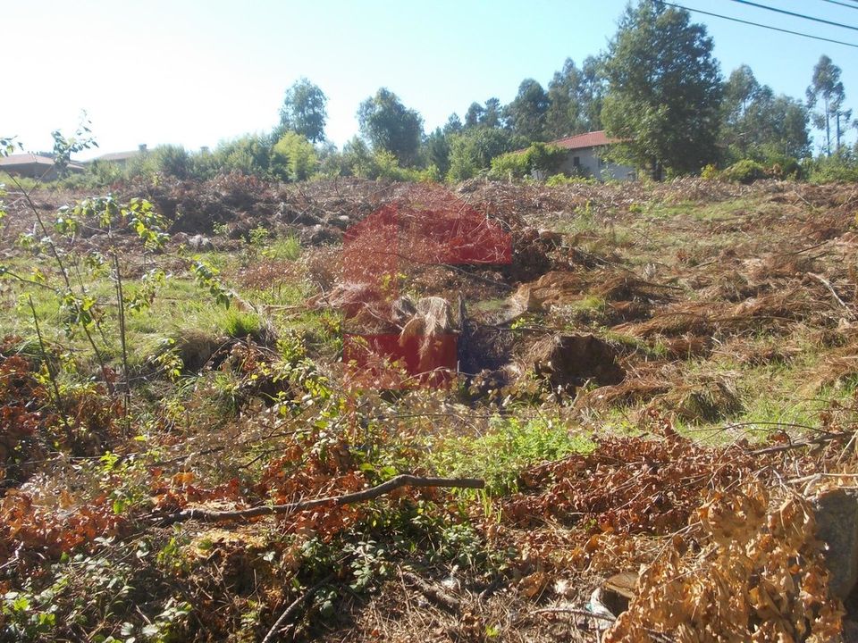 Helårsgrund i Vila Verde, Braga - foto 3