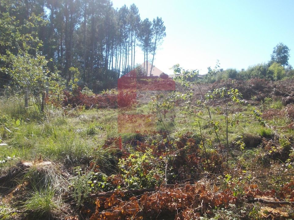 Helårsgrund i Vila Verde, Braga - foto 5