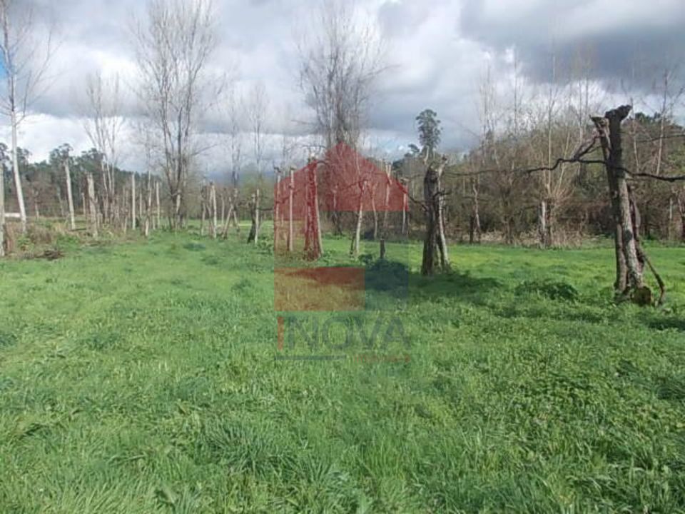 Helårsgrund i Vila Verde, Braga - foto 4