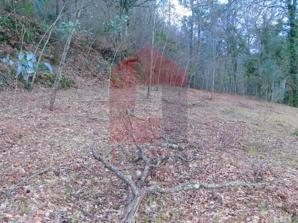 Helårsgrund i Vila Verde, Braga - foto 1