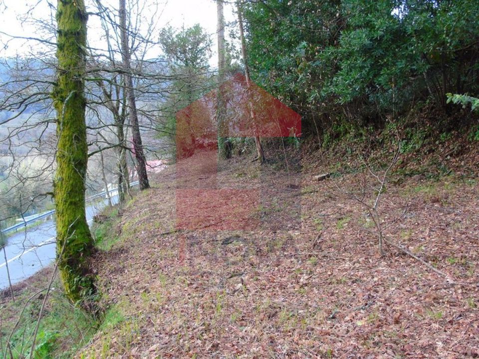 Helårsgrund i Vila Verde, Braga - foto 2