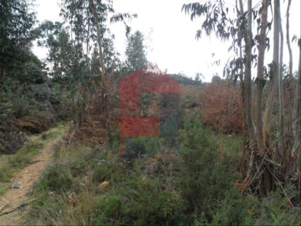 Helårsgrund i Vila Verde, Braga - foto 1