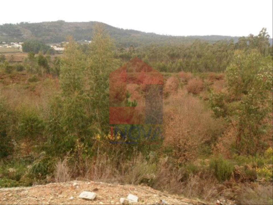Helårsgrund i Vila Verde, Braga - foto 3