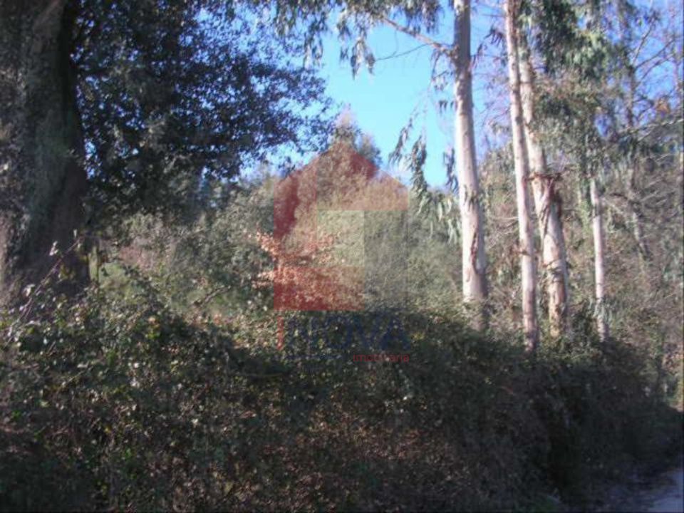 Helårsgrund i Vila Verde, Braga - foto 3
