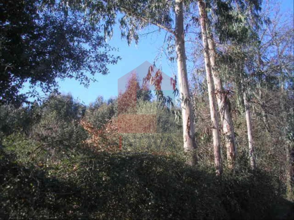 Helårsgrund i Vila Verde, Braga - foto 4
