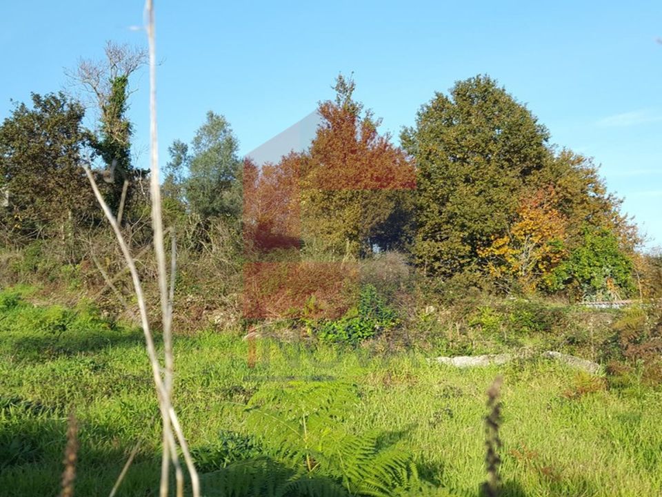 Helårsgrund i Vila Verde, Braga - foto 4