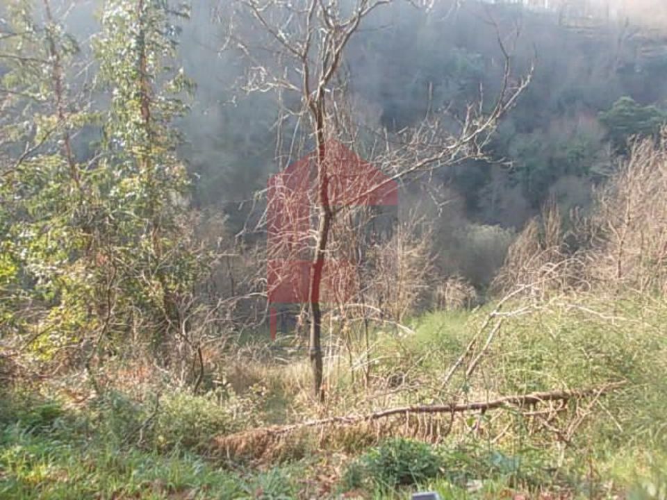 Helårsgrund i Vila Verde, Braga - foto 5