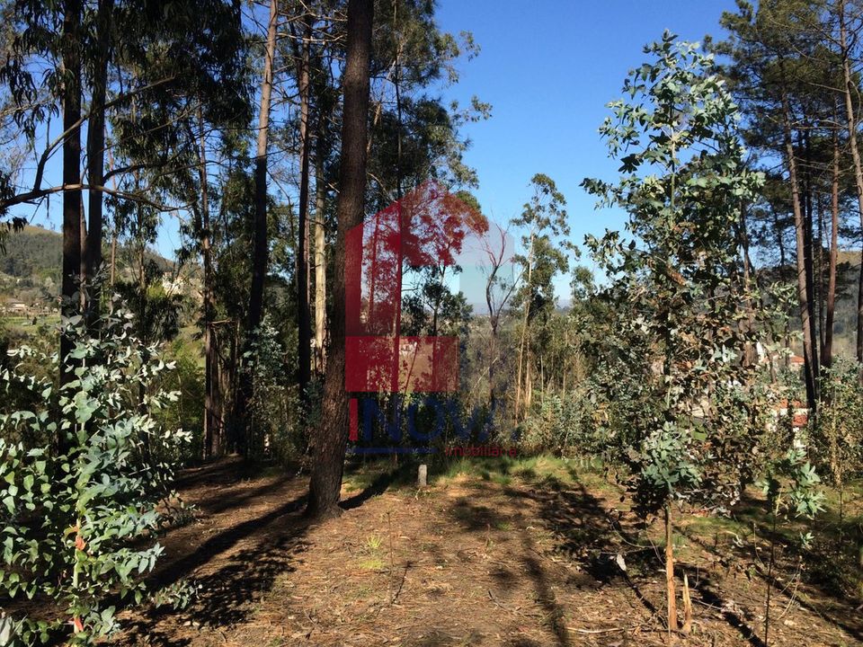 Helårsgrund i Vila Verde, Braga - foto 3
