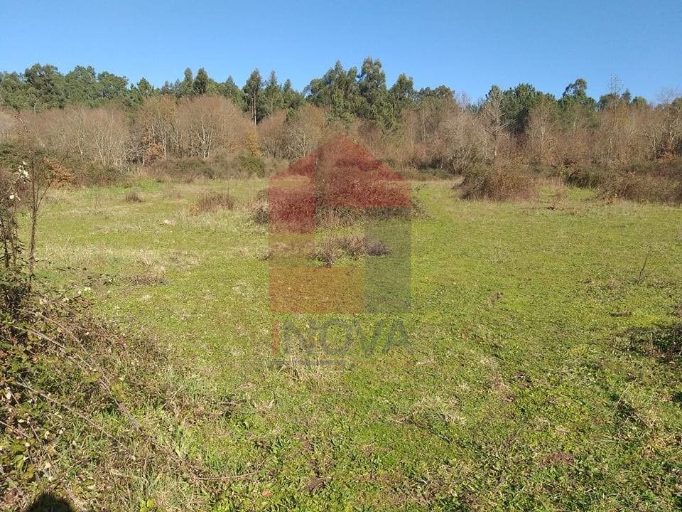 Helårsgrund i Vila Verde, Braga - foto 3