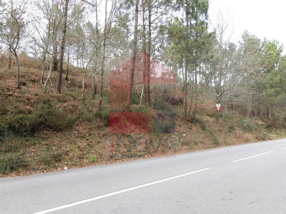Helårsgrund i Vila Verde, Braga - foto 1