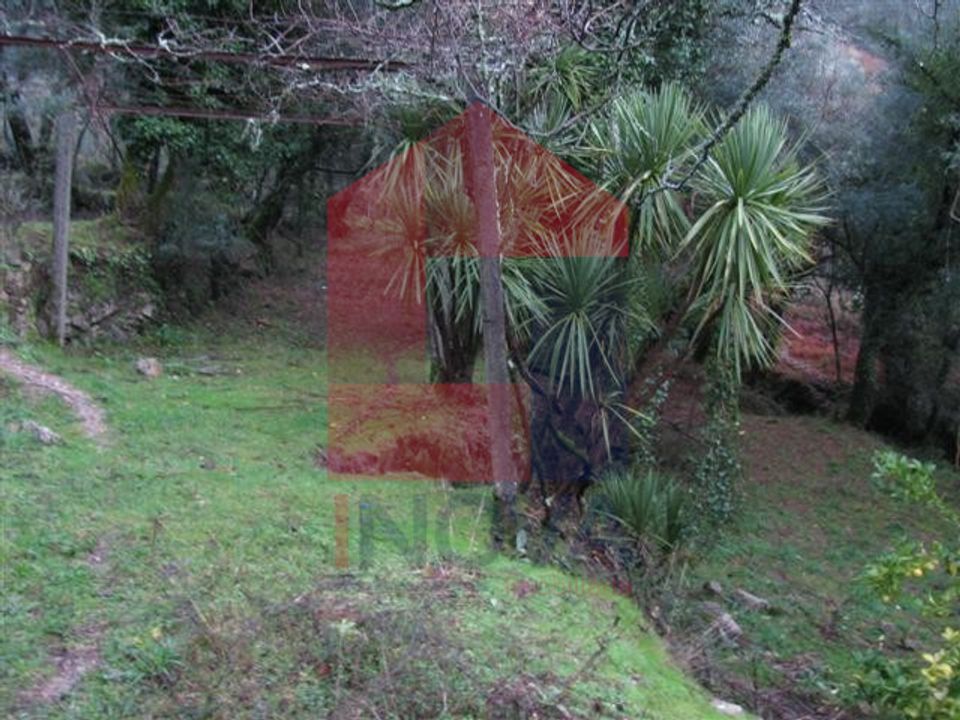 Farm i Vila Verde, Braga - foto 3