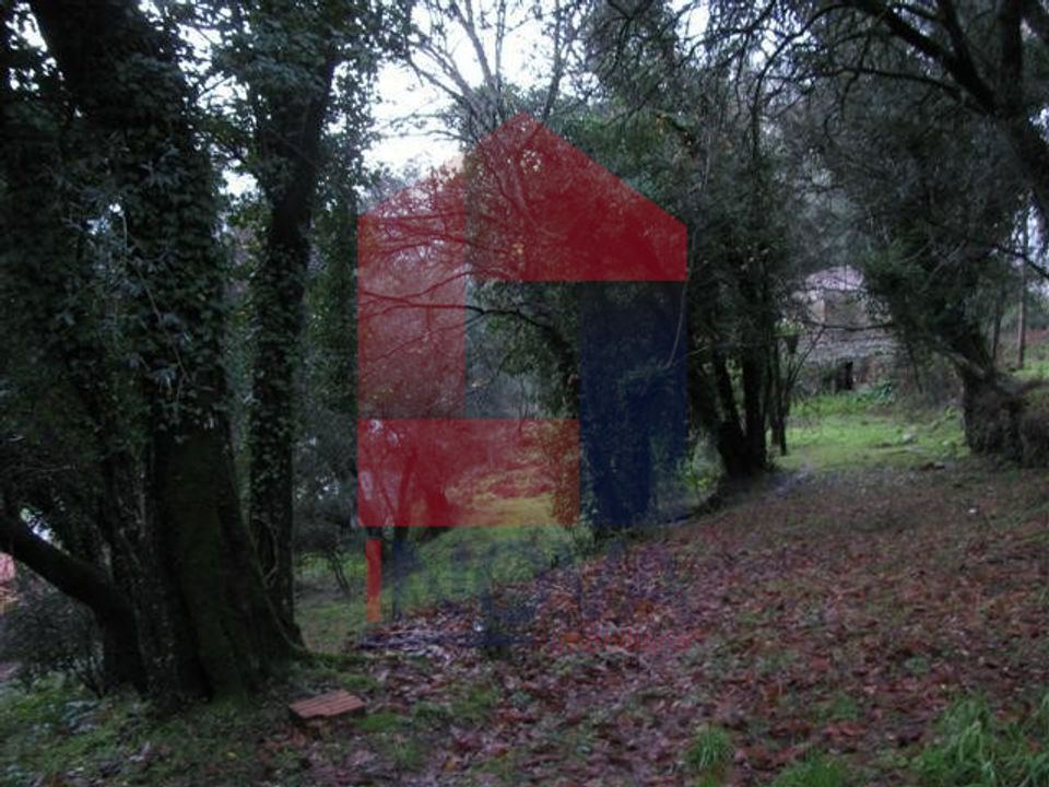 Farm i Vila Verde, Braga - foto 4