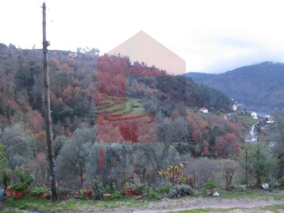 Farm i Vila Verde, Braga - foto 5