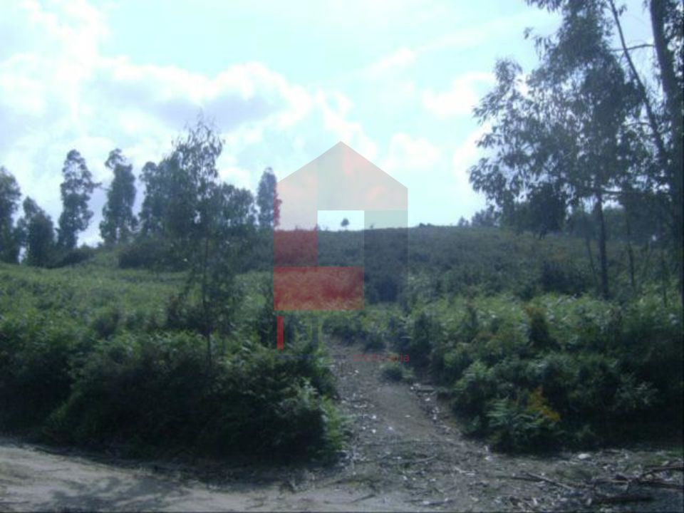 Helårsgrund i Vila Verde, Braga - foto 1